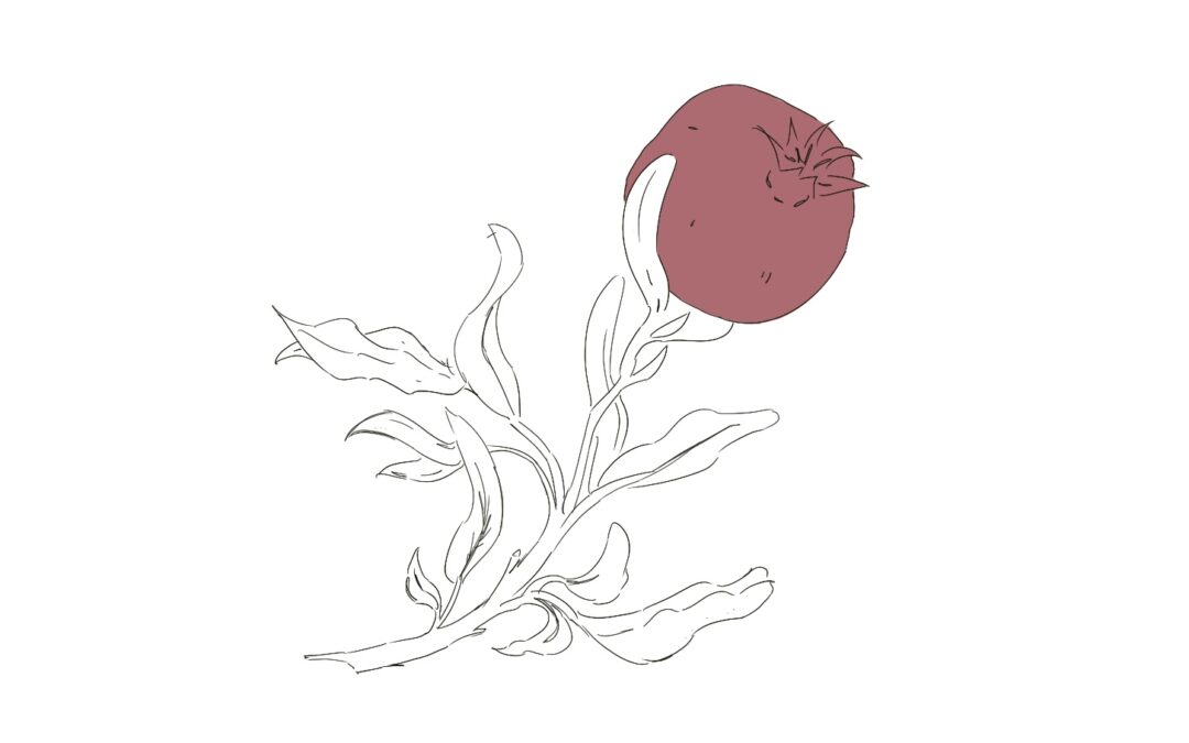 Distil