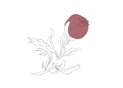 Distil