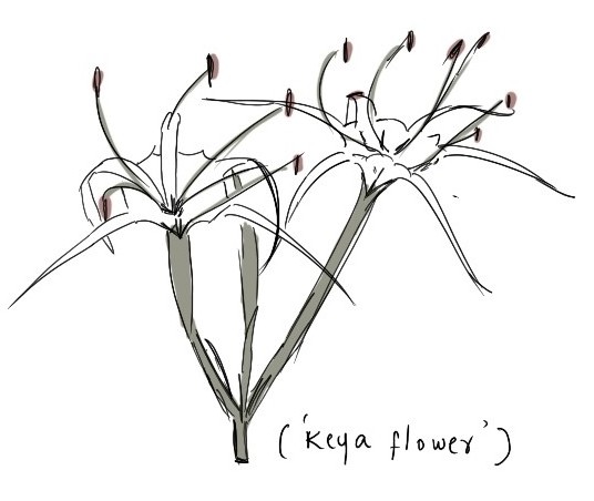 keya flower